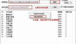 bilibili视频下载工具,轻松实现高清资源一键下载